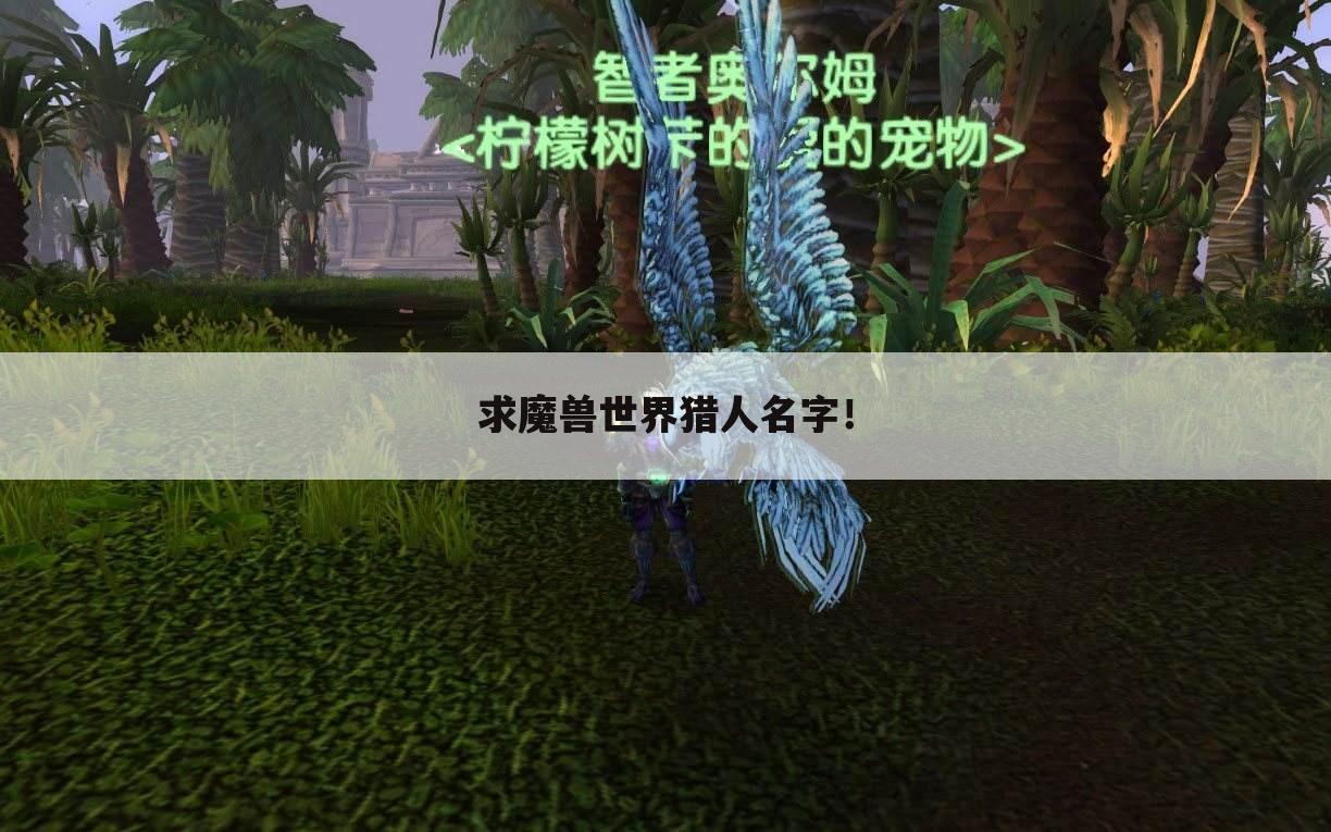 求魔兽世界猎人名字!