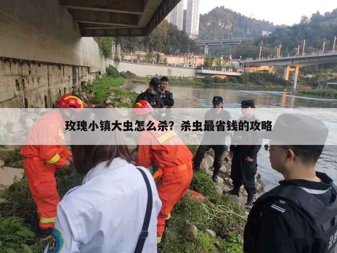 玫瑰小镇大虫怎么杀?杀虫最省钱的攻略