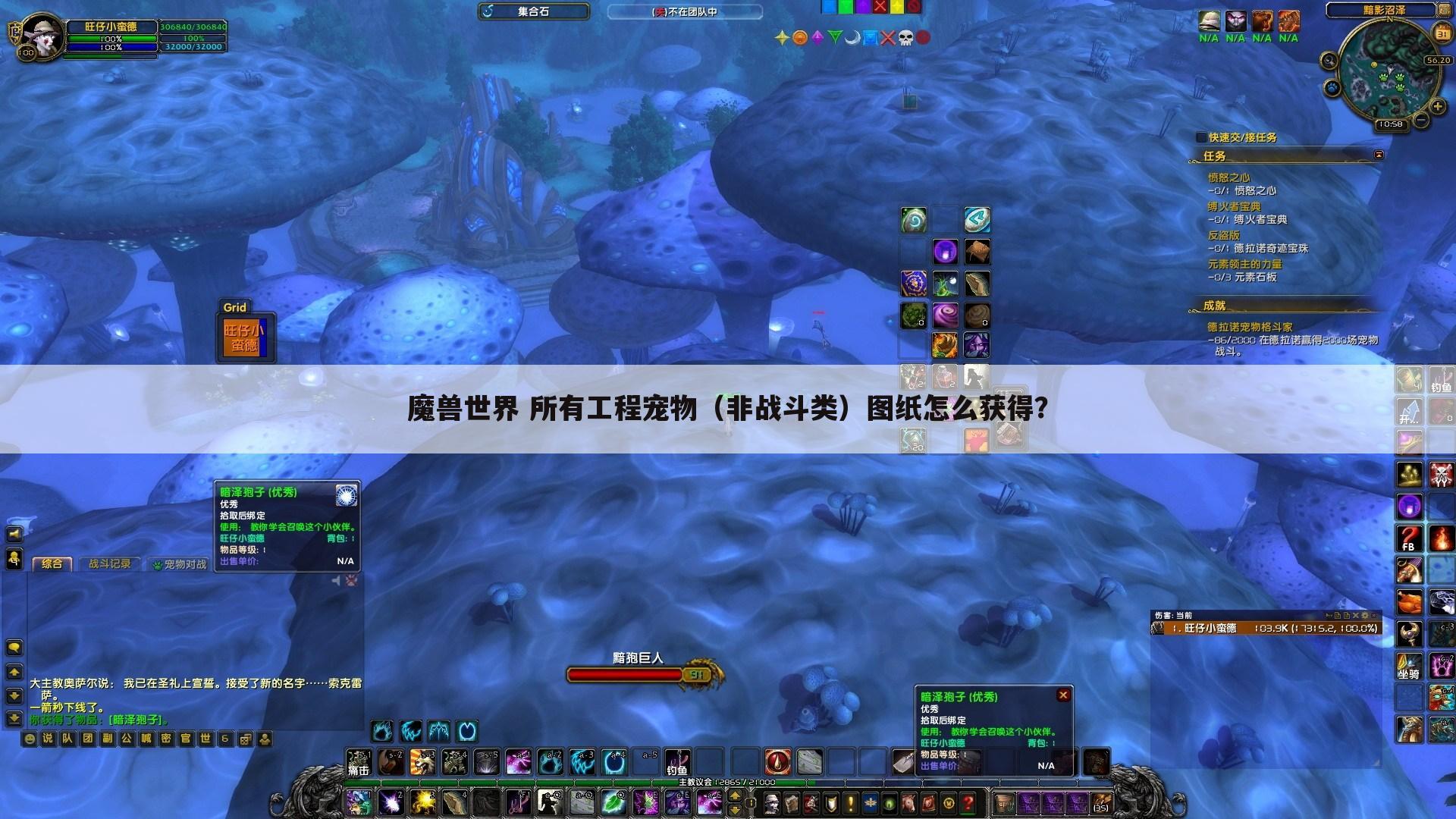 魔兽世界 所有工程宠物(非战斗类)图纸怎么获得?