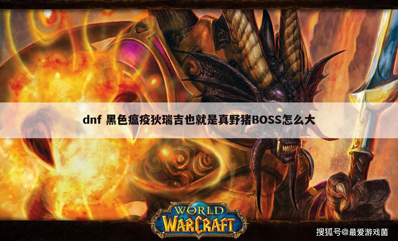 dnf 黑色瘟疫狄瑞吉也就是真野猪BOSS怎么大