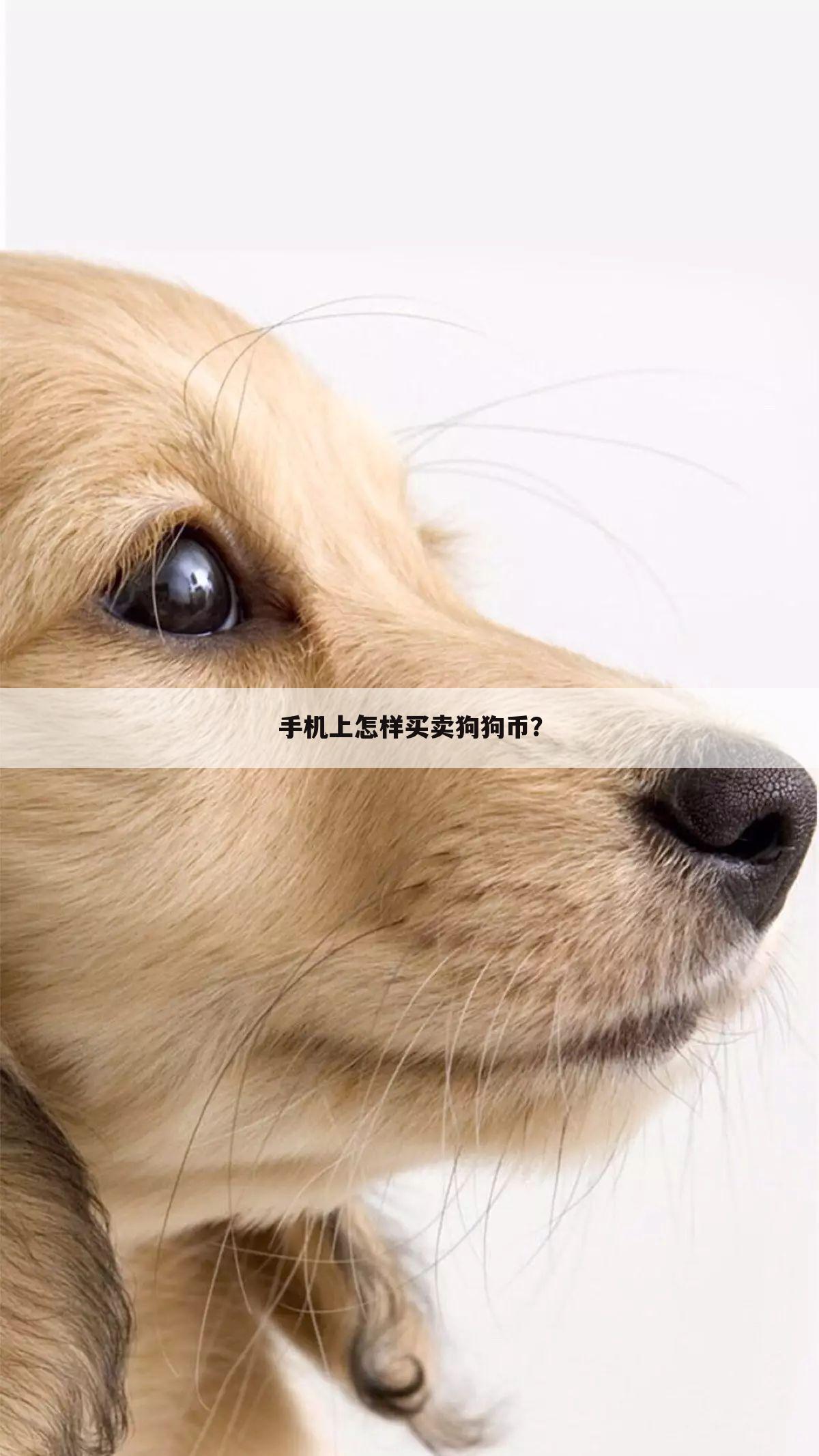 手机上怎样买卖狗狗币?