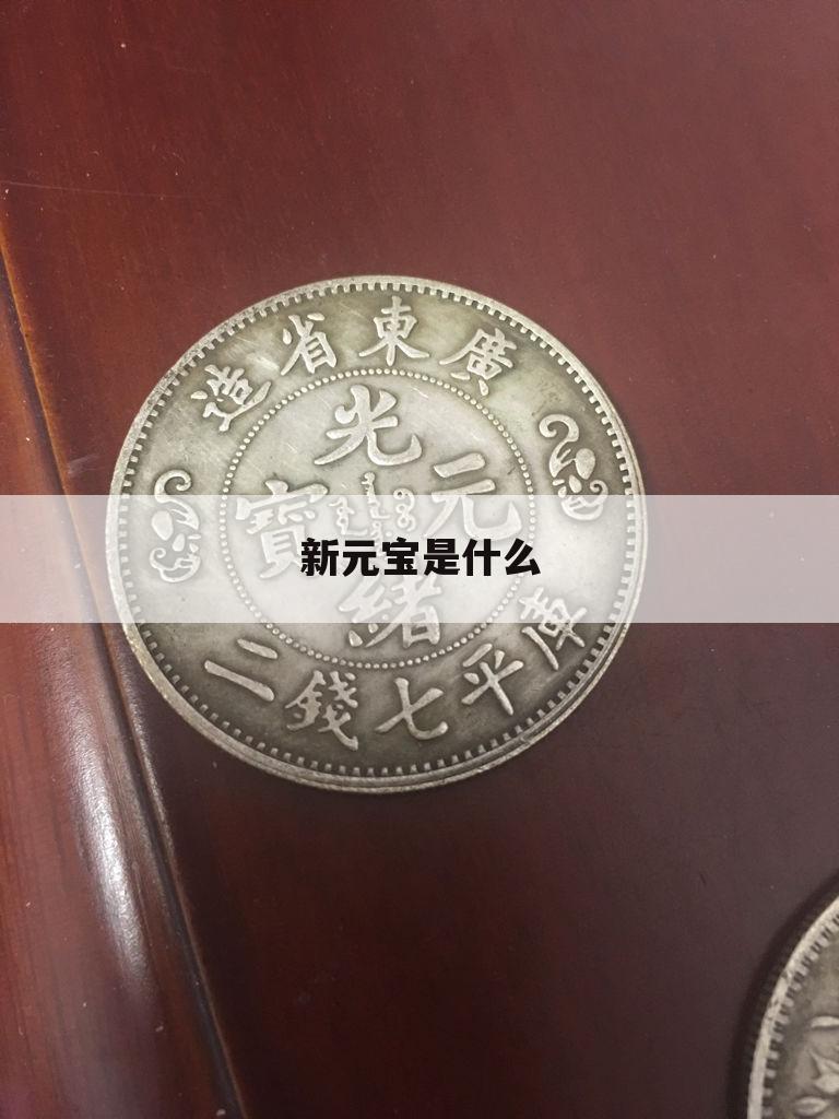 新元宝是什么