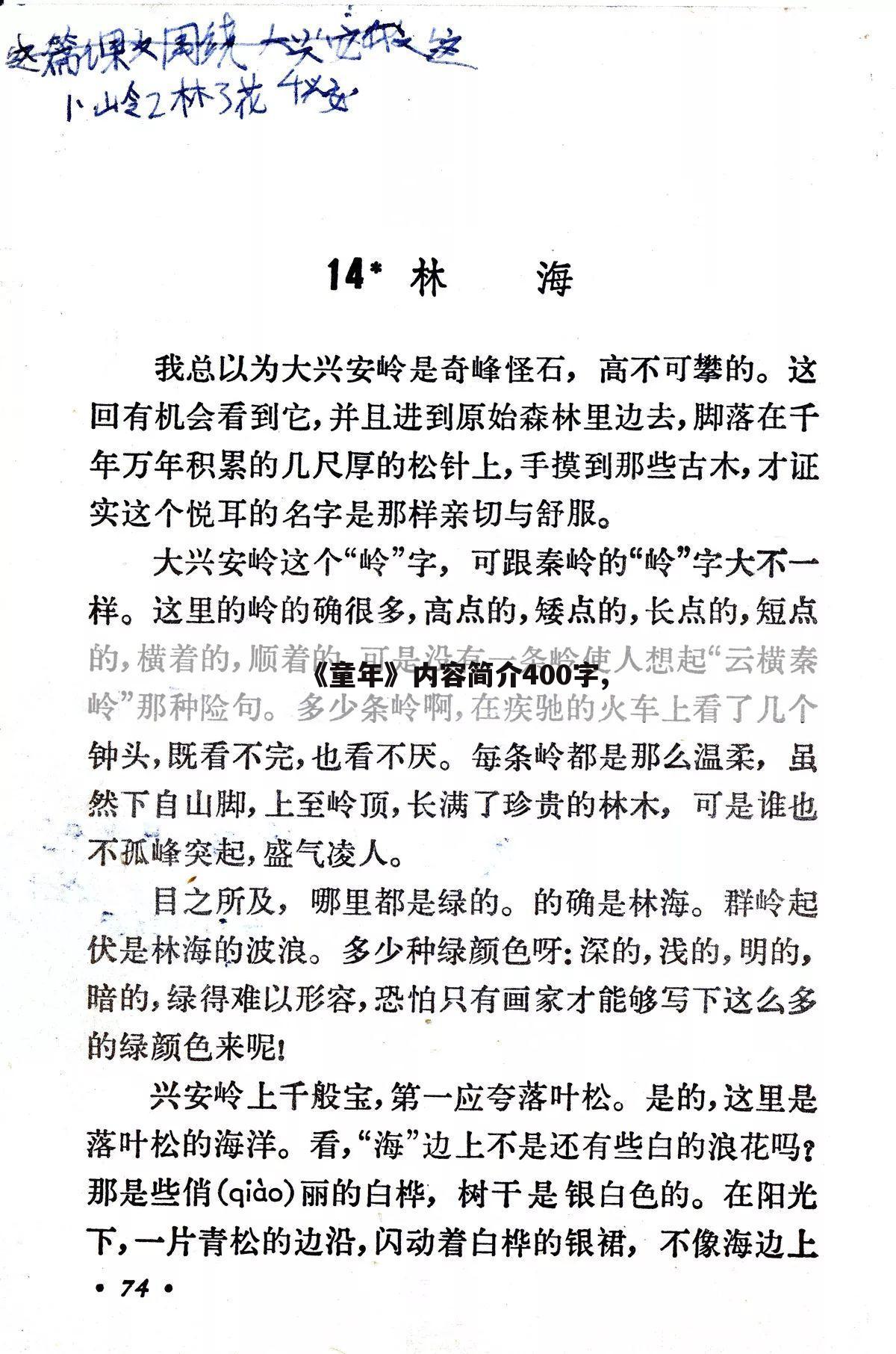 《童年》内容简介400字,