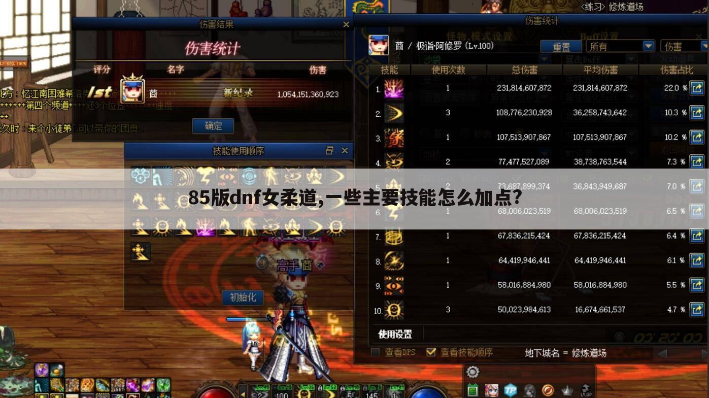 85版dnf女柔道,一些主要技能怎么加点?