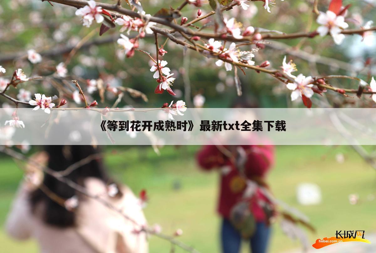 《等到花开成熟时》最新txt全集下载