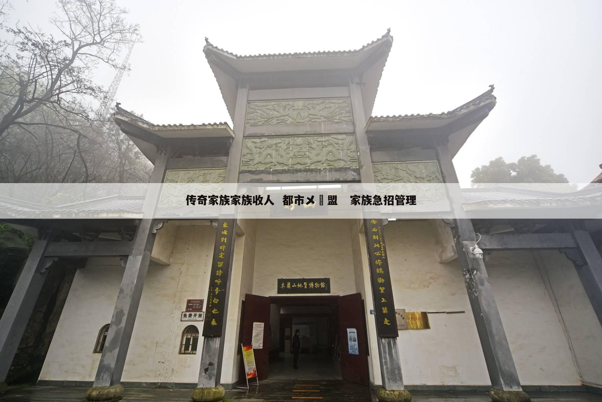 传奇家族家族收人 都市メ聨盟 家族急招管理