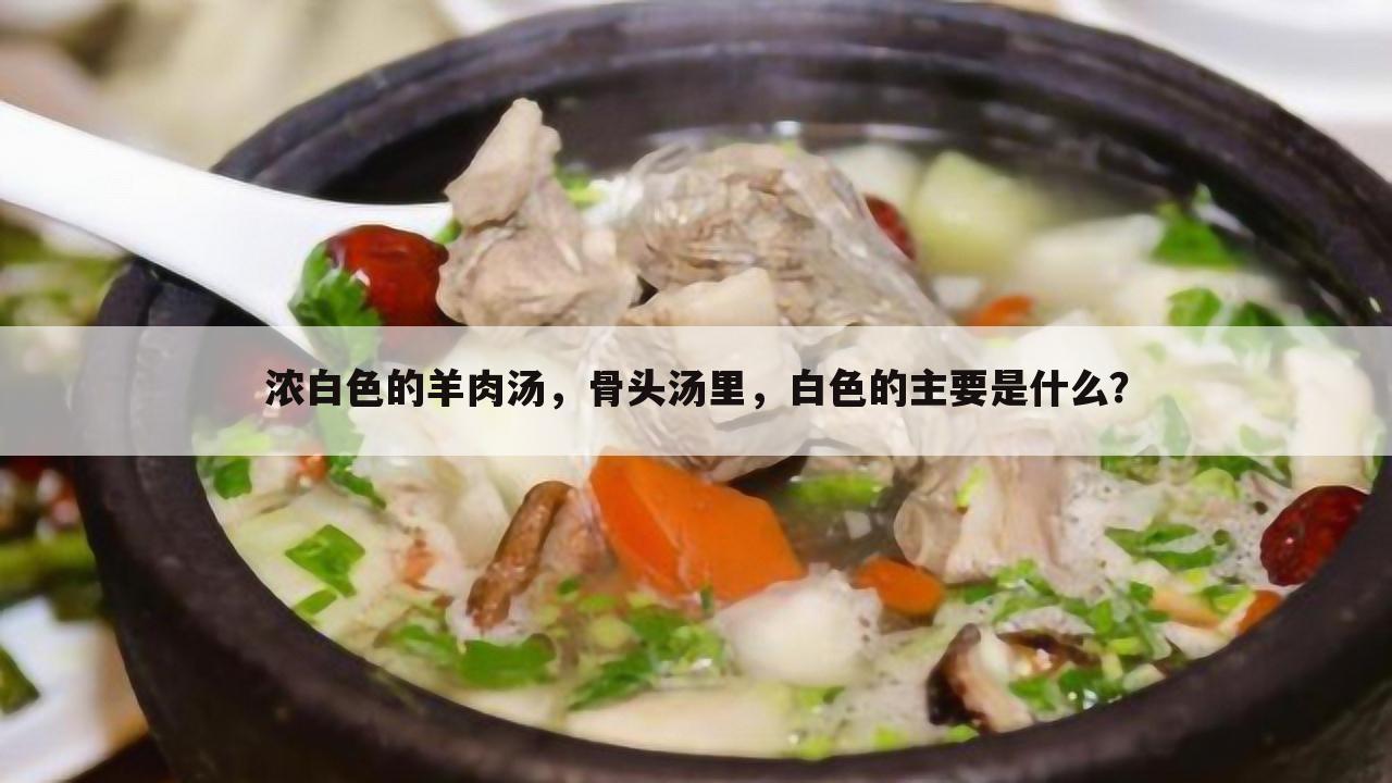 浓白色的羊肉汤,骨头汤里,白色的主要是什么?