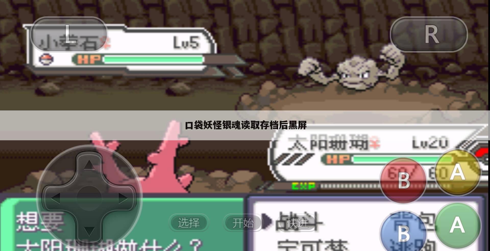 口袋妖怪银魂读取存档后黑屏