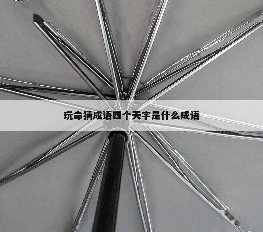 玩命猜成语四个天字是什么成语