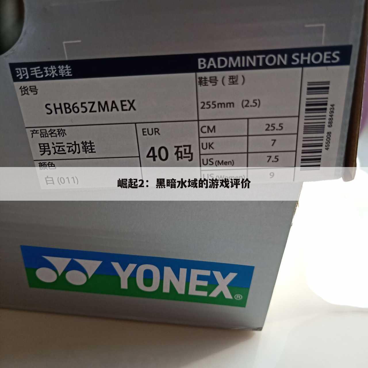 崛起2:黑暗水域的游戏评价