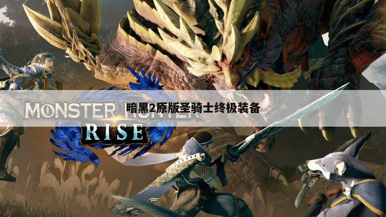 暗黑2原版圣骑士终极装备