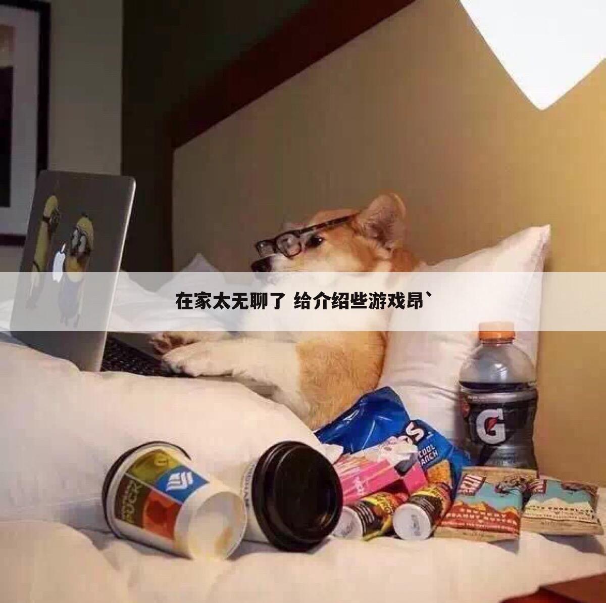 在家太无聊了 给介绍些游戏昂`