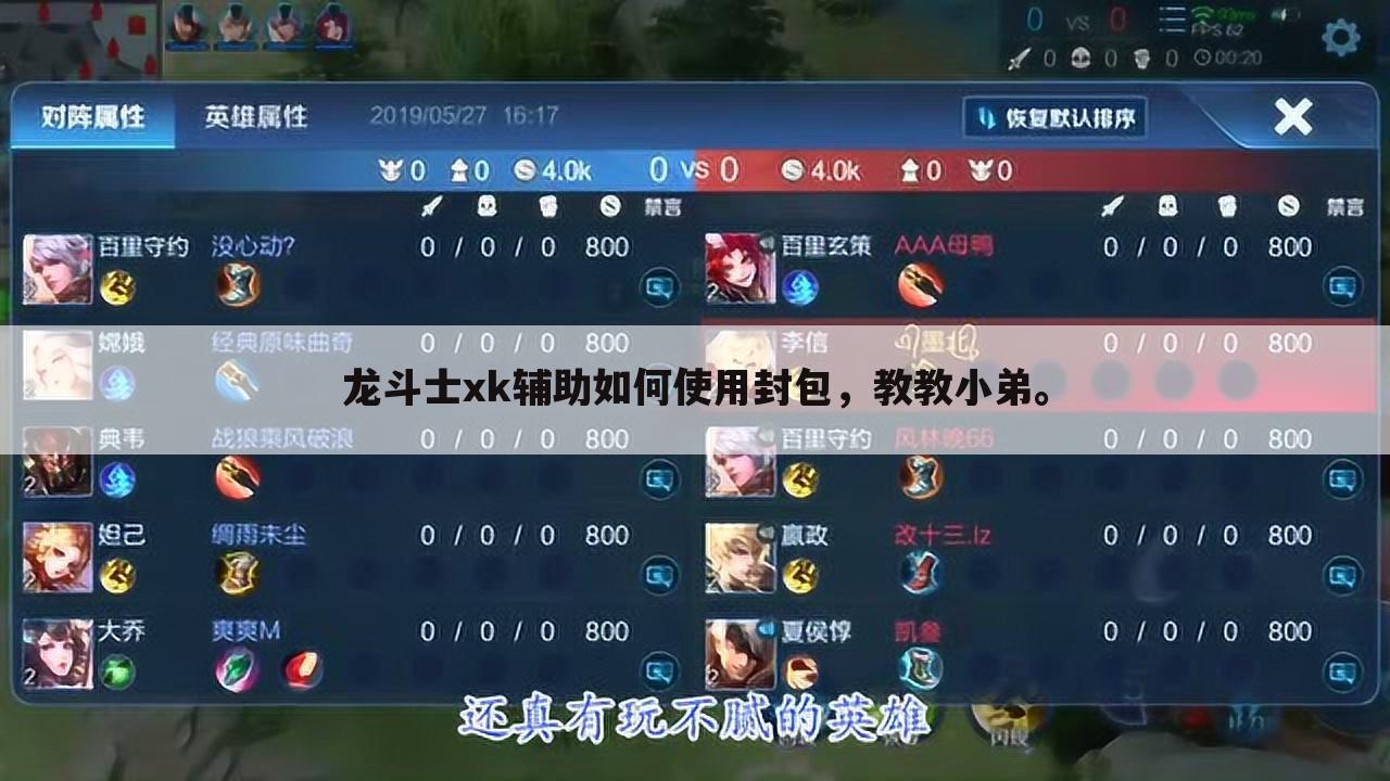 龙斗士xk辅助如何使用封包,教教小弟。