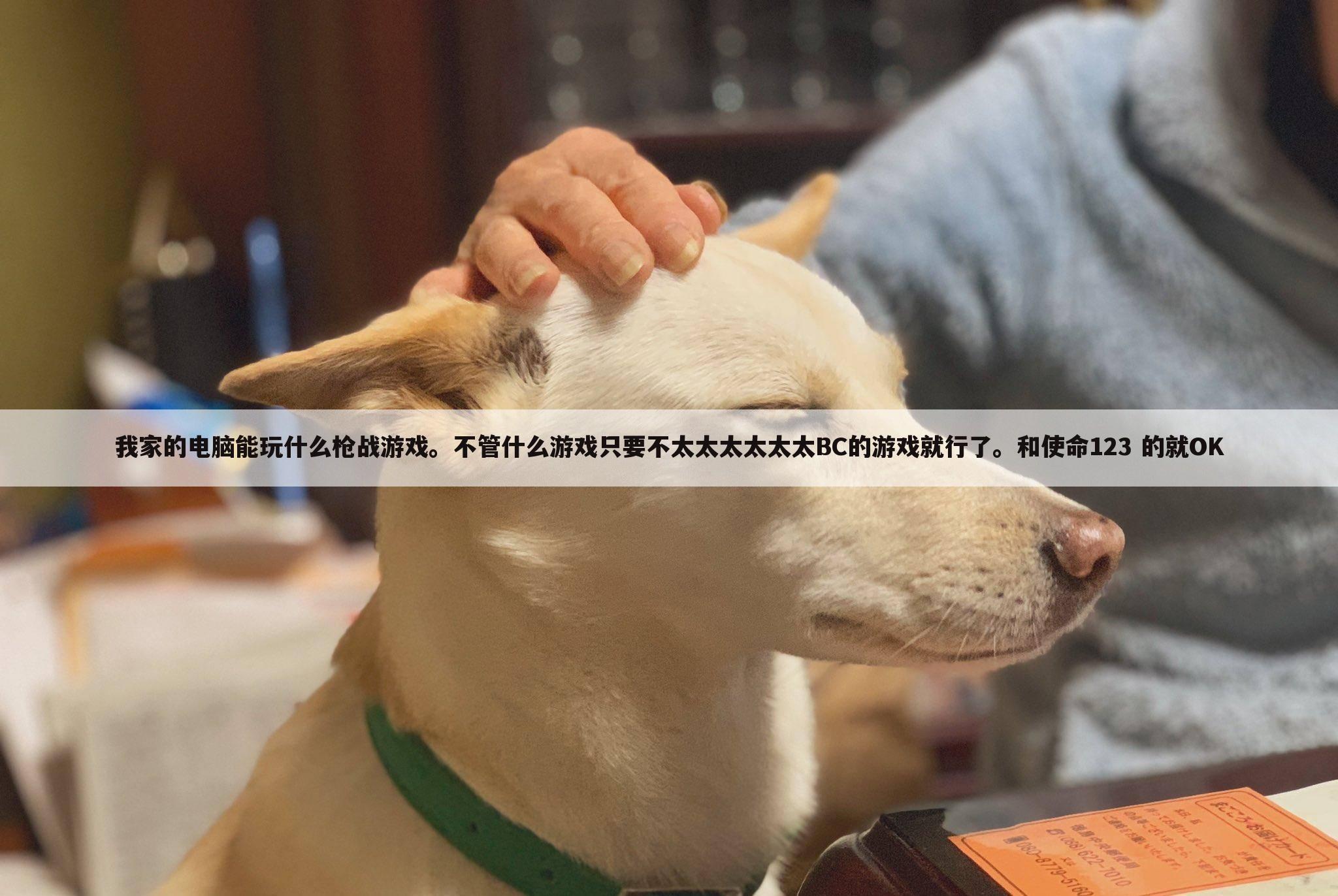 我家的电脑能玩什么枪战游戏。不管什么游戏只要不太太太太太太BC的游戏就行了。和使命123 的就OK