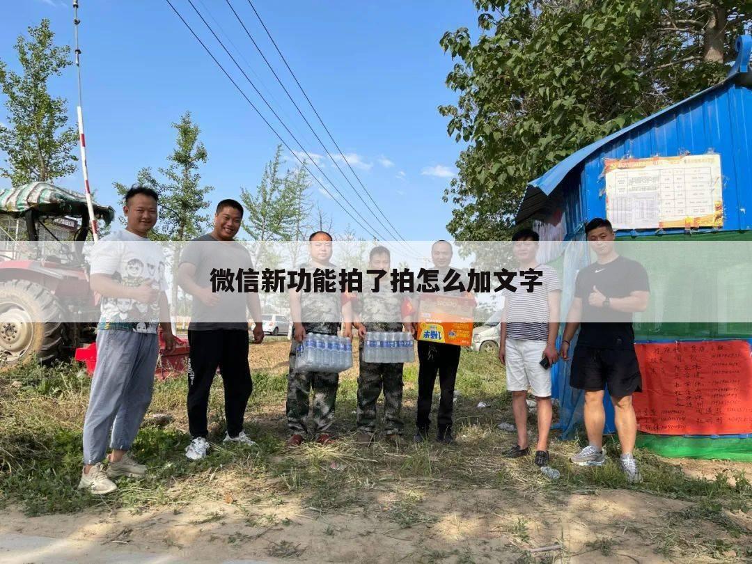 微信新功能拍了拍怎么加文字