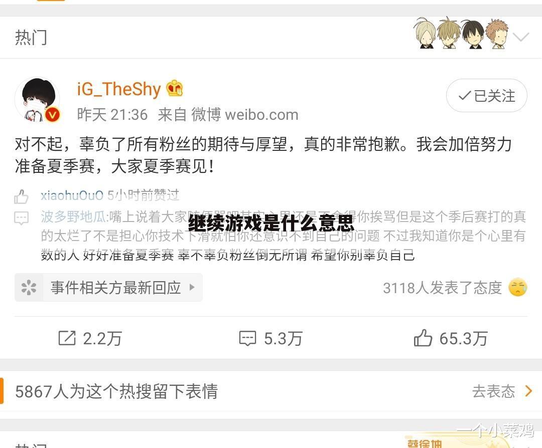 继续游戏是什么意思