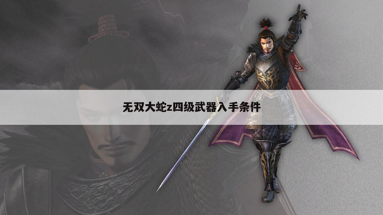 无双大蛇z四级武器入手条件