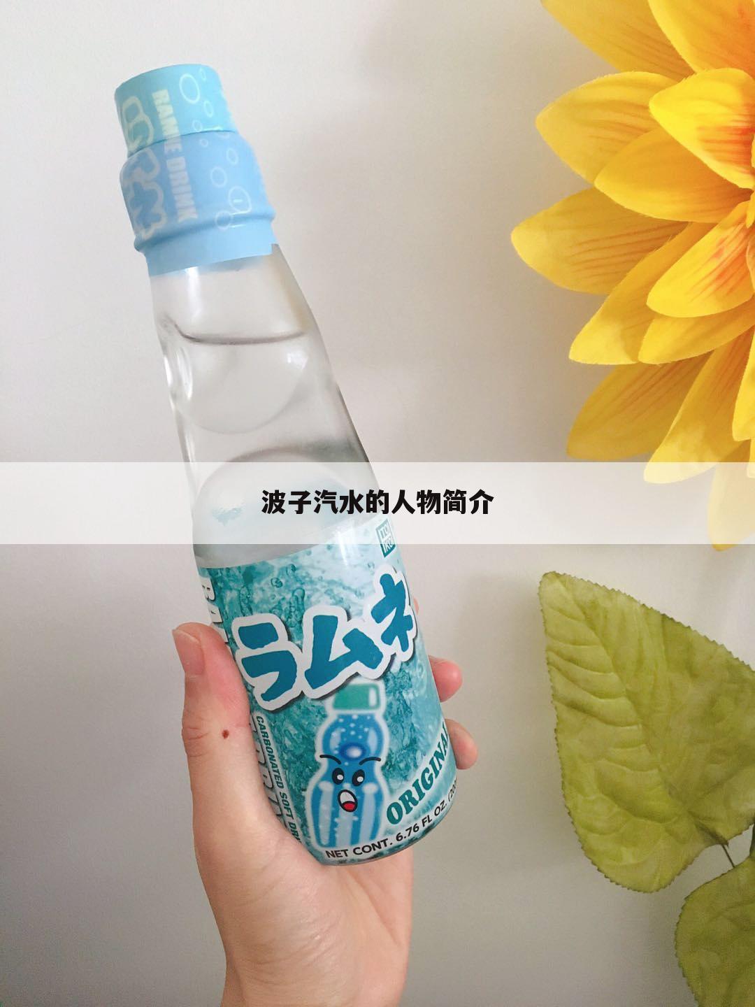 波子汽水的人物简介