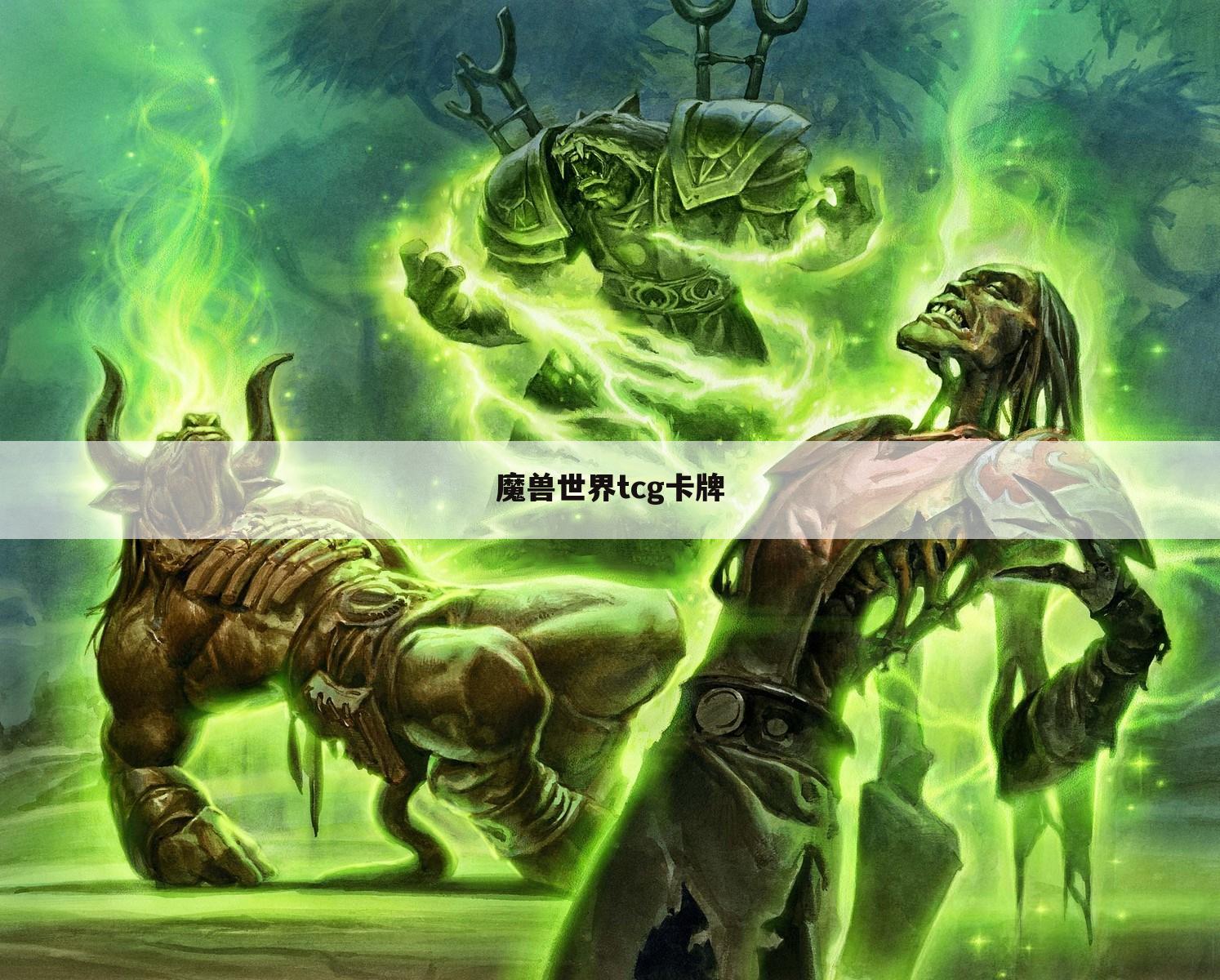 魔兽世界tcg卡牌