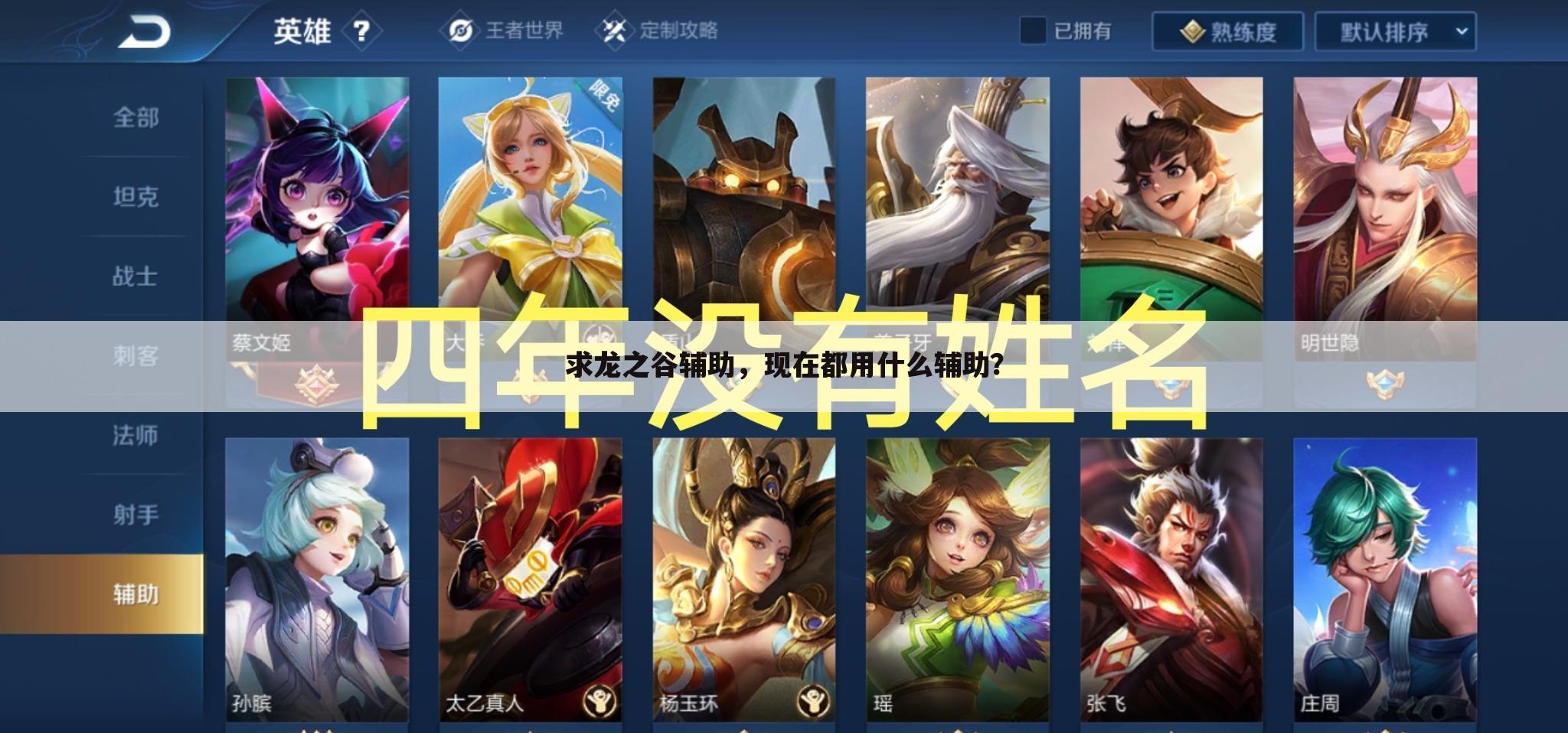 求龙之谷辅助,现在都用什么辅助?