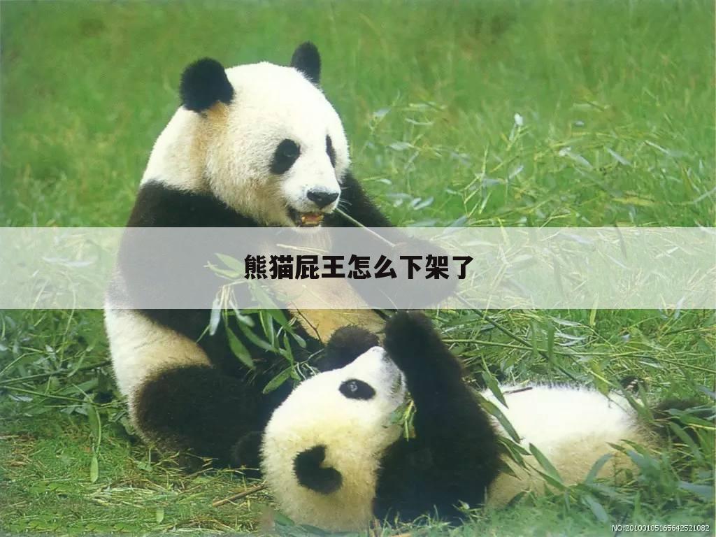 熊猫屁王怎么下架了