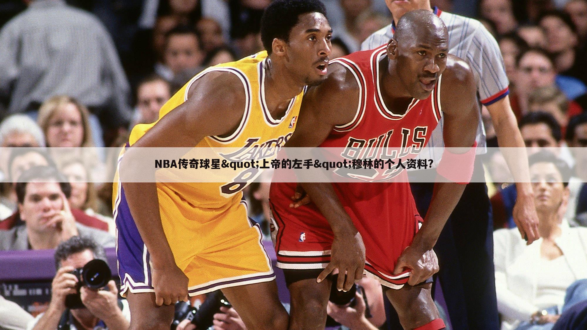 NBA传奇球星"上帝的左手"穆林的个人资料?